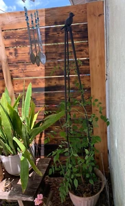 Garden Trellis for Climbing Plants 63" Tall Plants Trellis Support W/ Adjustable - Picture 1 of 8