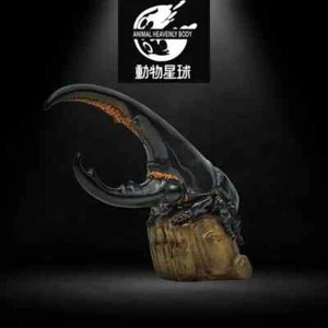 【En stock】Estatua de insectos escarabajo (negro) de cuerpo celestial animal dinastías - Imagen 1 de 3