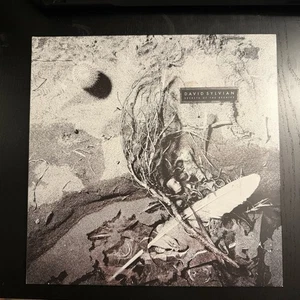David Sylvian - Secrets of the Beehive (Record, 2019) Reissue 180gm VG+ - Picture 1 of 5