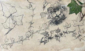 Antique Drawing Original Flower, Floral, Still Life, Nature, Leafs - Picture 1 of 8