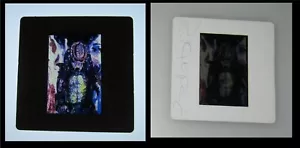 Original PREDATOR 2 35mm Studio Stamped Production Slide KEVIN PETER HALL - Bild 1 von 3