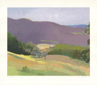 WOLF KAHN Down in the Valley Firmado 35" x 40" Serigrafía 2003 Realismo Pastel, Verde Foto 1 de 4