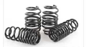 Neuspeed Super Street Lowering Springs 55.10.36 Fits VW Passat Sedan V6 2000 + - Picture 1 of 4