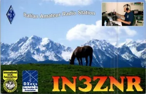 HAM RADIO CQ QSL QSO POSTCARD IN3ZNR TRENTO ITALY 2012 HORSE GRAZING MOUNTAINS - Picture 1 of 5