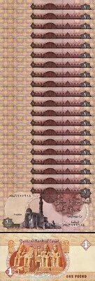 Egypt 1 Pound 15-5- 2008, UNC, 20 Pcs LOT, Consecutive, P-50n - Image 1 of 4