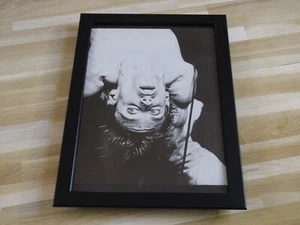 Iggy Pop - Stooges - 70'S - POSTER VINTAGE ENCADRE !! VINTAGE POSTER FRAMED - Imagen 1 de 3