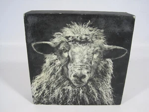 Kathryn Drysdale S'graffito Art 'Sheep Face' 2017 Wax & Gouache on Board - Picture 1 of 8