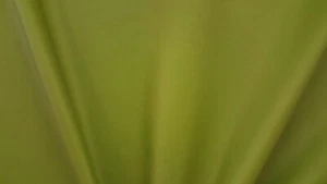 Discount Fabric ULTRA LEATHER Original Parrot Upholstery & Automotive - Picture 1 of 2