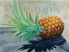 Pineapple By Claire Pavlik Purgus 20X16 Food Art Print Poster Fruit