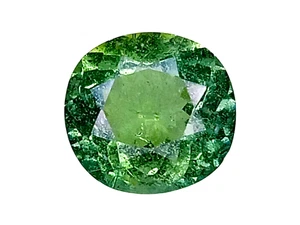 2.870cts Green natural apatite oval Shape cut loose gemstones SEE VIDEO - Picture 1 of 3