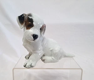 Vintage Rosenthal Germany Porzellan Foxterrier Welpe Figur signiert #1121 - Bild 1 von 11