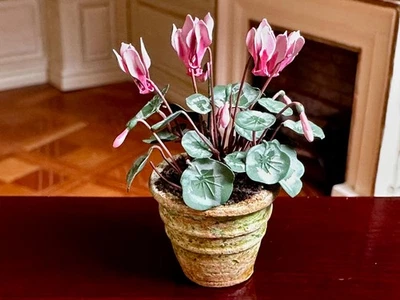 Dolls house miniature 1:12 ARTISAN * STUNNING * cyclamen in terracotta plant pot - Image 1 of 4