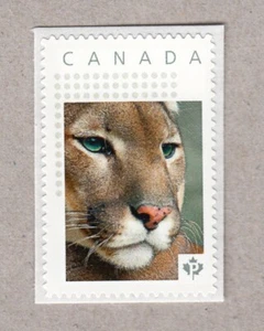PUMA = WILD CATS = Picture Postage MNH stamp Canada 2016 [p16/05wc5/2] - Picture 1 of 2