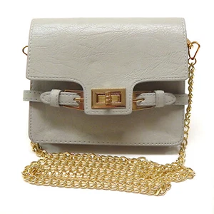 Twist Lock Cross Body Gray Purse Women Small Handbag Detachable Chain Clutch - Picture 1 of 4