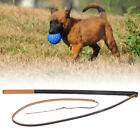 Dog Training Whip Leather Protect Pet Leashes For Medium Large Dog (The End Slk
