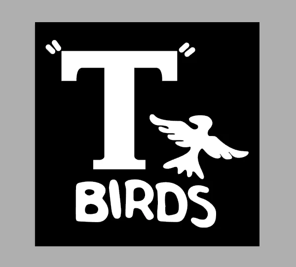 T shirt iron on vinyl HTV transfers A6 T birds white  Grease,stag, Hens, Party - Image 1 of 1