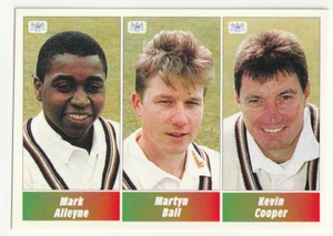Panini 1990s Cricket Sticker Gloucestershire Alleyne, Ball, Cooper - Picture 1 of 1