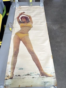 Raquel Welch Vintage Türposter 5 Fuß - Bild 1 von 11