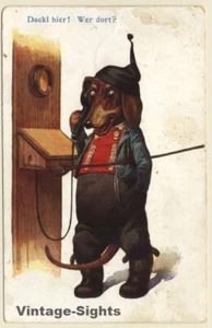Dackel Am Telefon / Dachshund On Telephone - Teckel (Vintage PC 1917) - Imagen 1 de 1