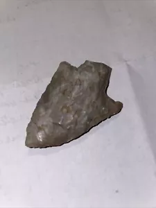 2 Inch Tennessee Adena Fossil Rare Ex Cline - Picture 1 of 2