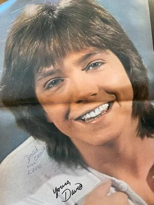 David Cassidy, Two Page Vintage Centerfold Poster, aa - Picture 1 of 1