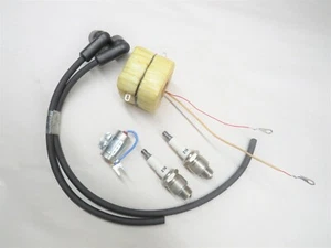 Maytag Motore Gas Multi Motore Modello 72 Twin D DA Eisemann Accensione Magneto Bobina - Foto 1 di 1