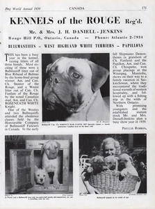 BULLMASTIFF DOG BREED KENNEL ADVERT PRINT PAGE "OF THE ROUGE" DOG WORLD 1959 - Picture 1 of 1