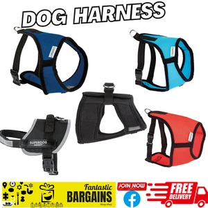 Zoofari Hundegeschirr blau schwarz rot Kühleffekt weich Ziehen vermeiden - Bild 1 von 38