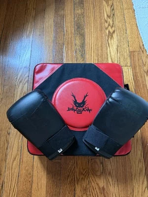 Wall Punching Pad For Boxing With Boxing Gloves - Image 1 of 4