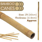 2ft ? 6ft Strong Thick Bamboo Canes Garden Stake Plant Support Wood Flower Stick