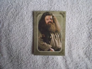 Panini: Harry Potter Evolution 2022 "RUBEUS HAGRID" #98 Trading Card - Picture 1 of 2