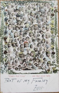 Multiple Baby 1906 Postcard, Utah's Best Crop, UT Babies - Picture 1 of 1