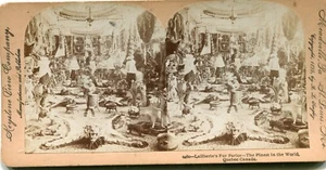ALFOMBRA PIEL DE OSO PIEL DE OSO 1899 STERO VIEW SALÓN DE PIEL DE LALIBERTE QUEBEC CANADÁ PIEL ETC.  - Imagen 1 de 1