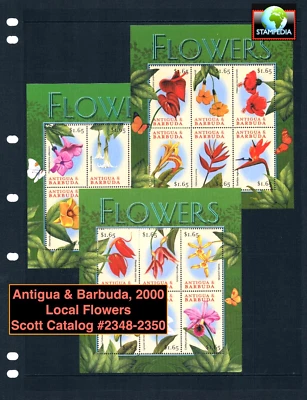 $22.50 Scott Value - 2000 ANTIGUA Flowers 3 s/s Orchids Caribbean CV MNH NH UMM - Image 1 of 4