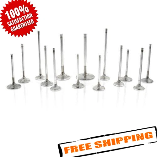 Válvulas de competición Ferrea F6026 serie 6000 para 03-07 MITSUBISHI Evolution VIII Foto 1 de 3