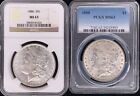 Lot de 1 pièces mix date dollar Morgan avant 1921 MGC / PCGS MS63 S$1