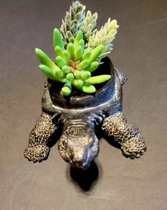 Decorazione tartaruga casa e giardino - Foto 1 di 8