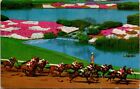Hollywood Park Inglewood CA Track and Infield Old Postcard Posted 1962 A4