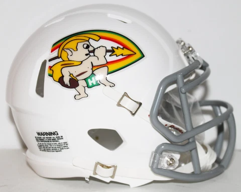 1974 Hawaii Rainbow Warriors Custom Riddell Throwback Mini Helmet Cover