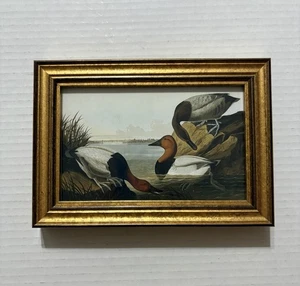 Audubon Framed Print Canvas Backed Duck 5 1/2 X 8 Inches - Picture 1 of 7
