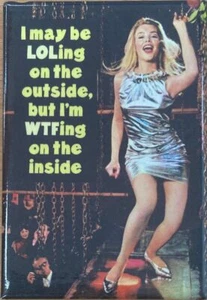 I may be LOLing on the outside, but I'm WTFing on the inside Funny Fridge Magnet - Picture 1 of 1