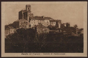 cartolina PAVULLO NEL FRIGNANO castello di montecuccolo - Imagen 1 de 1