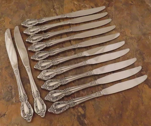 Oneida Raphael Set of 12 Dinner Knives Deluxe Stainless Flatware Lot A - Picture 1 of 7