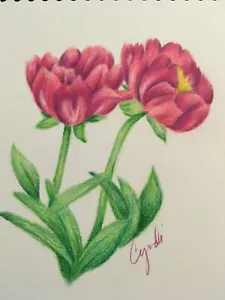 DIBUJO A LÁPIZ COLOR PEONÍA - Imagen 1 de 1