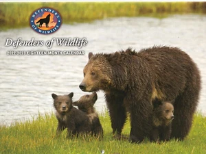 2022-2023 Defenders of Wildlife 18 Month Wall Calendar New Bears Wolves Whales - Picture 1 of 2