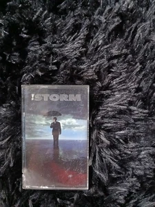 The Storm by The Storm (Cassette, Sep-1991, Interscope (USA)) - Bild 1 von 2