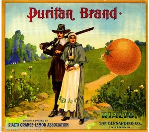 Rialto Puritan Thanksgiving Orange Zitrus Obstkiste Etikett Kunstdruck - Bild 1 von 1