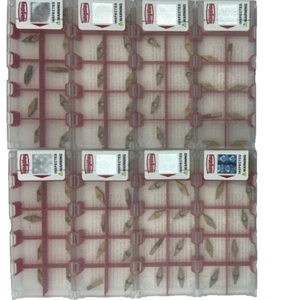 80PS Tungaloy Carbide Inserts :  VCMT080204-PSF T9225 - Picture 1 of 2