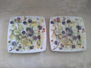 2-Italian Ceramics Company ICC Italy "Mediterraneo" 8 1/4" eckige Teller Beeren - Bild 1 von 6