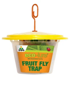 Eco-Lure Male Queensland Fruit Fly Trap - Picture 1 of 2
